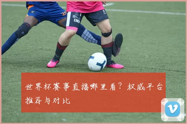 世界杯赛事直播哪里看？权威平台推荐与对比