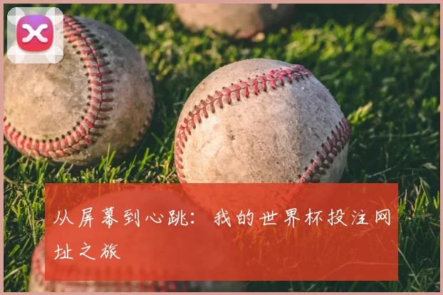 从屏幕到心跳:我的世界杯投注网址之旅