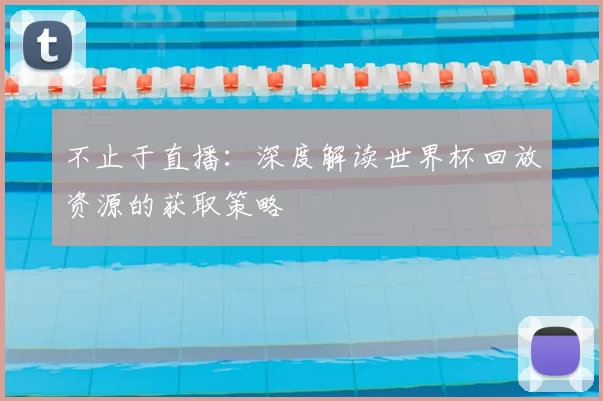 不止于直播：深度解读世界杯回放资源的获取策略