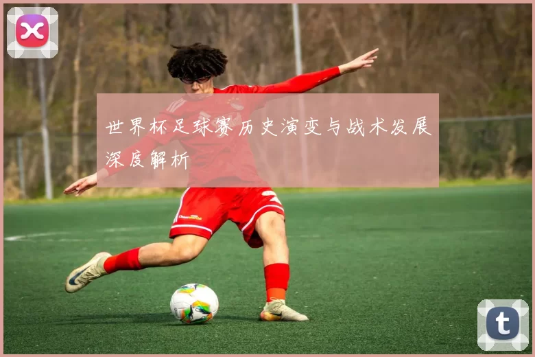 世界杯足球赛历史演变与战术发展深度解析