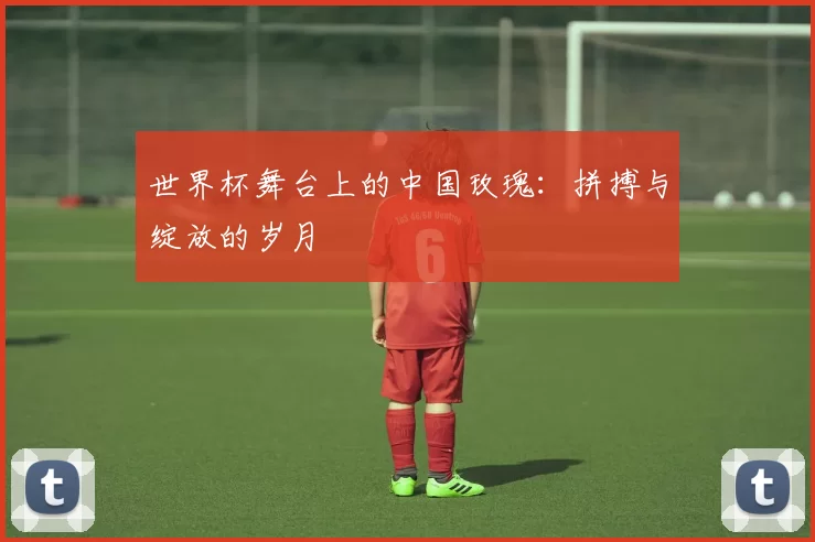 世界杯舞台上的中国玫瑰：拼搏与绽放的岁月