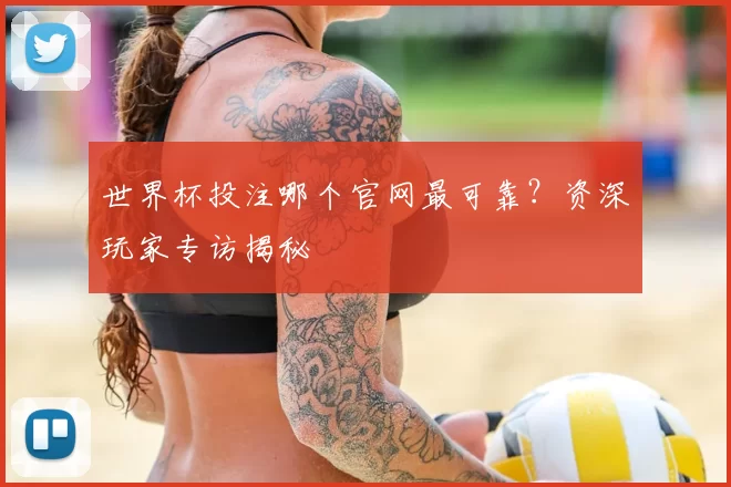 世界杯投注哪个官网最可靠？资深玩家专访揭秘