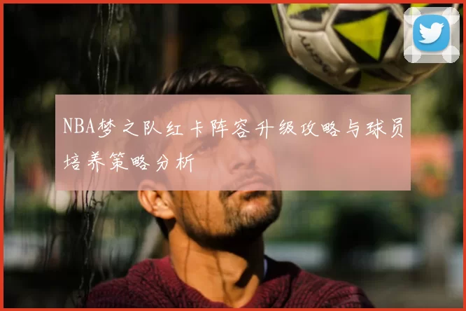 NBA梦之队红卡阵容升级攻略与球员培养策略分析