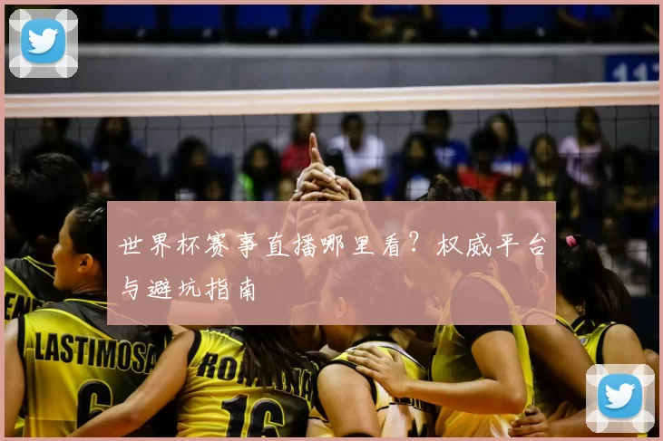 世界杯赛事直播哪里看？权威平台与避坑指南